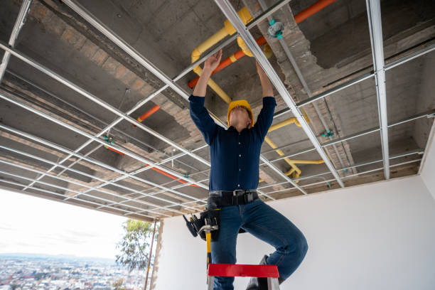 Best Toilet Repair Services  in Carle Place, NY