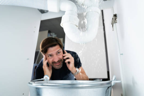 Best 24-Hour Plumber Near Me  in Carle Place, NY